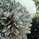 Zebra, White, B..