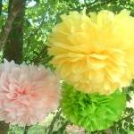 Set Of 10 Tissue Paper Pom..